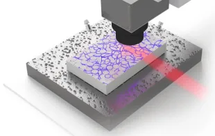 Three Photon Microscopy