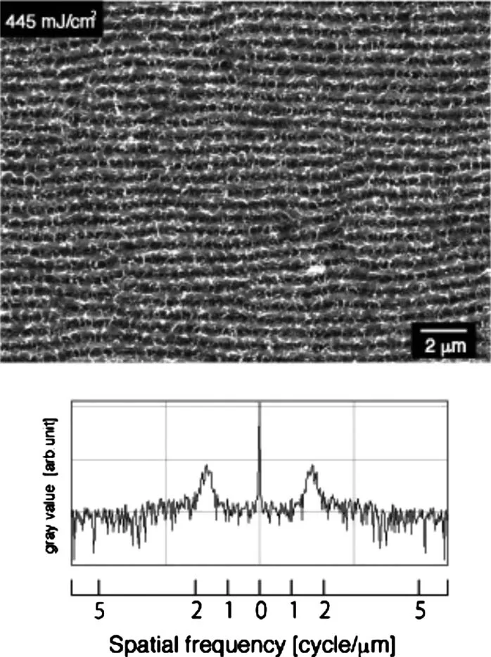 Laser-Induced Periodic Surface Structures (LIPSS)