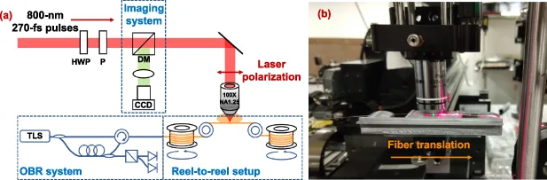 Fiber Cutting