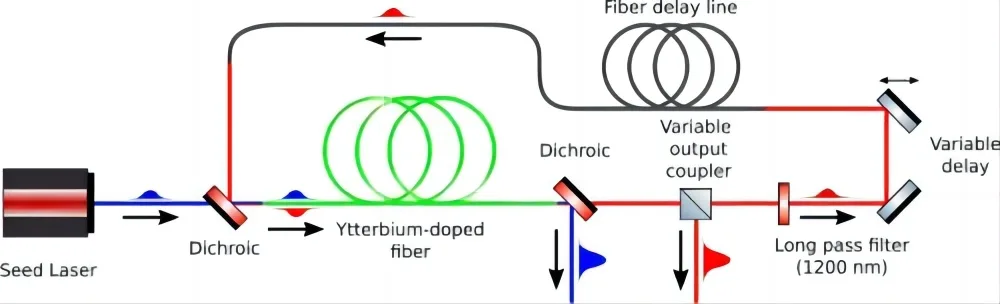 Three-Photon Microscopy