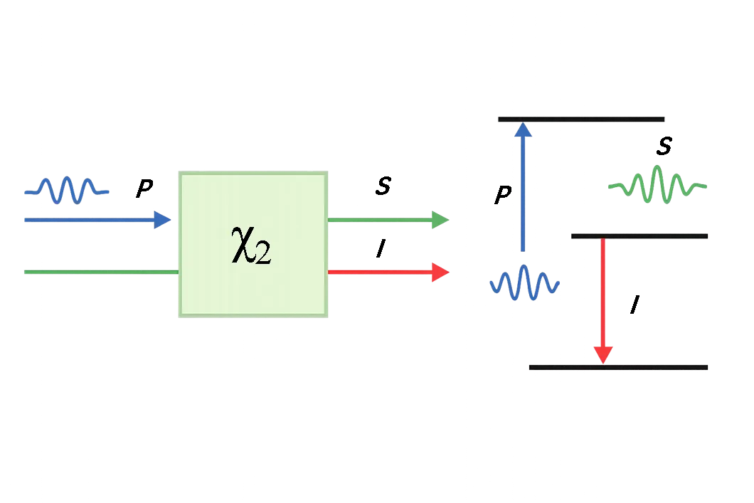 Wavelength Conversion in Optical Parametric Processes